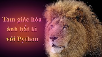 Delaunay triangulation - tam giác hóa ảnh bất kỳ