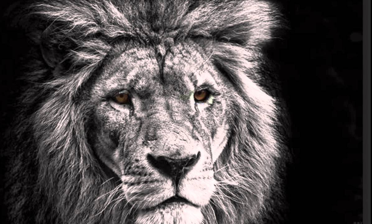 Deep House Mix 2015 (April)  - Leeam Lion