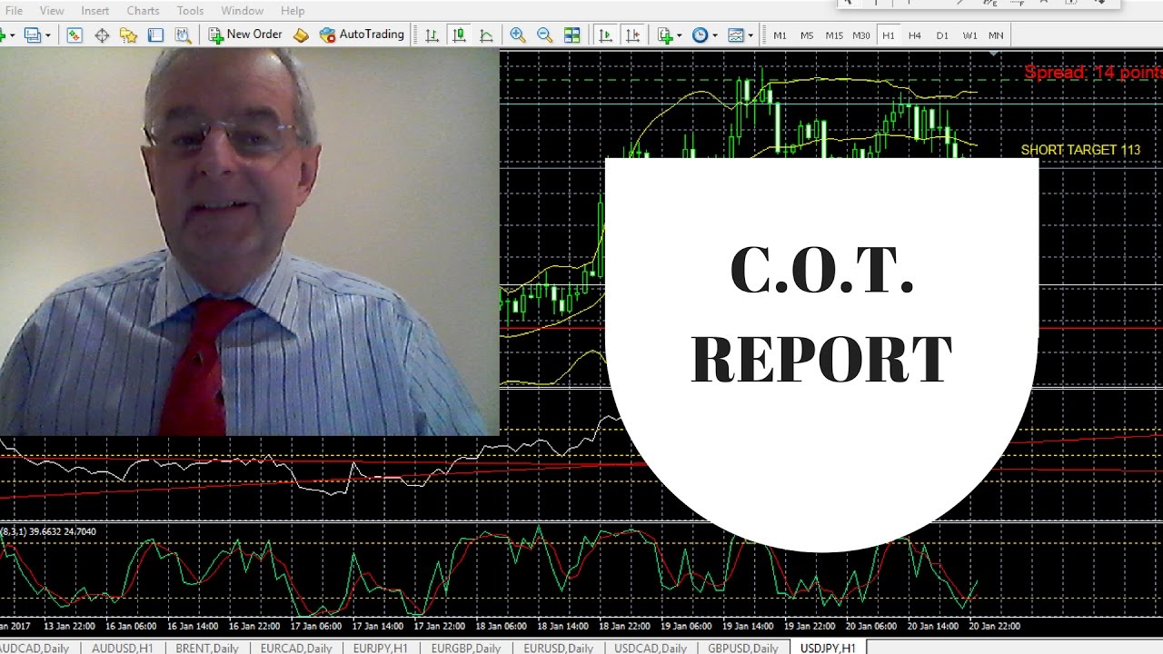 Commitment of traders forex