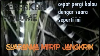 suara ular weling
