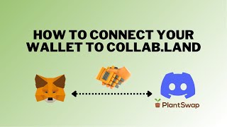 How To Connect Your Wallet To Collab.Land - PlantSwap screenshot 2