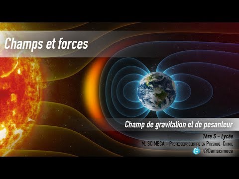 Champs et forces