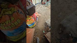 Video Del Día No Hay Muchos Cambios