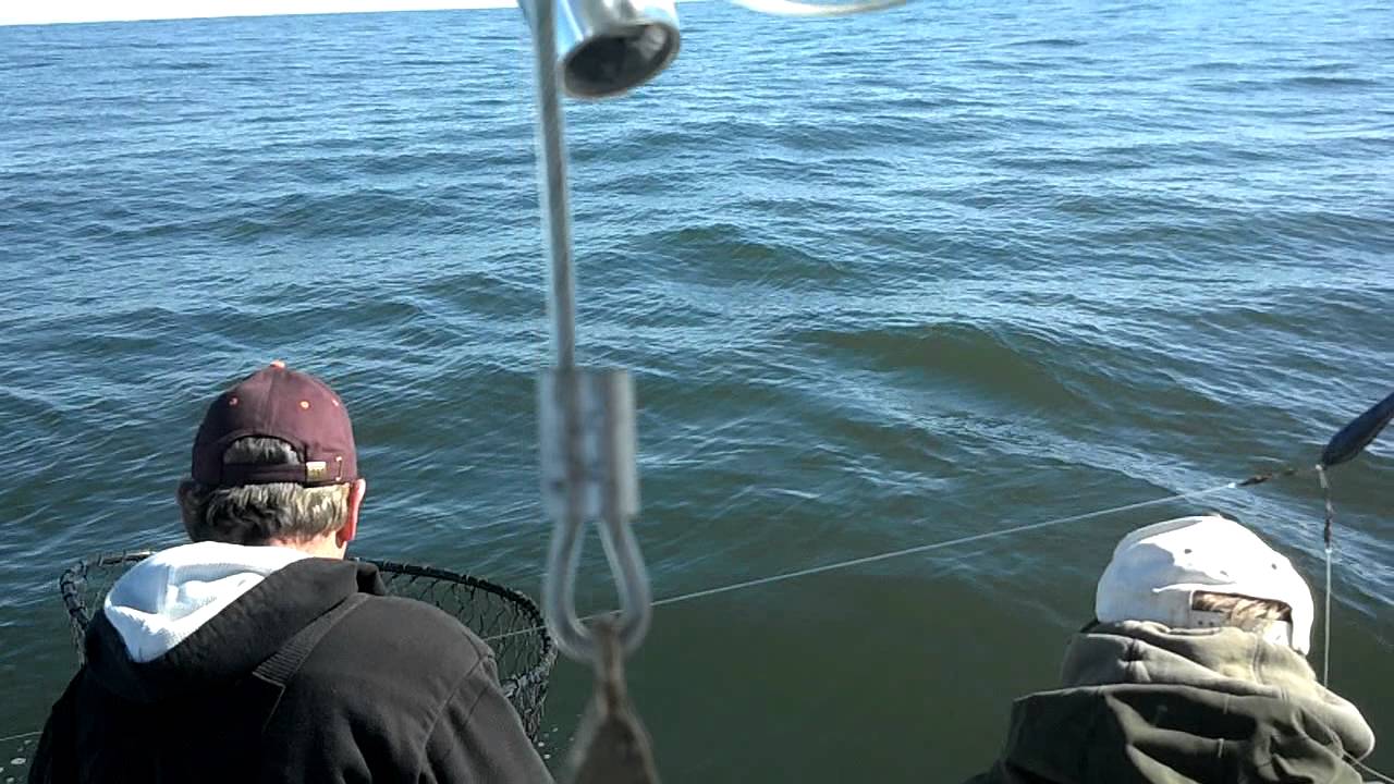 Striper Fishing Jan 29 2012 YouTube