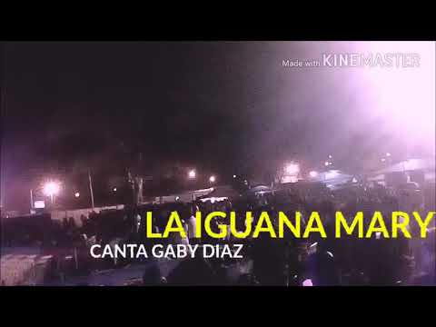 LA IGUANA MARY