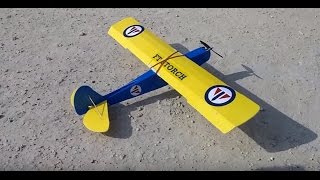 FT Simple Storch RC Plane