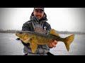 Ice fishing for shallow walleye  perch my favorite