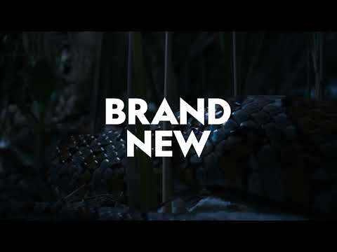 Wild, Smart And Deadly | Extraordinary Creatures