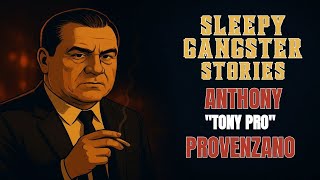 Celebrity Anthony "Tony Pro" Provenzano: The Mobster Tied to Jimmy Hoffa’s Vanishing | Sleepy Gangster Stories Net Worth