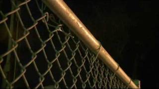Fence Sensors