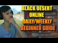 Anfänger Daily/Weekly Black Desert Online 2025 Guide