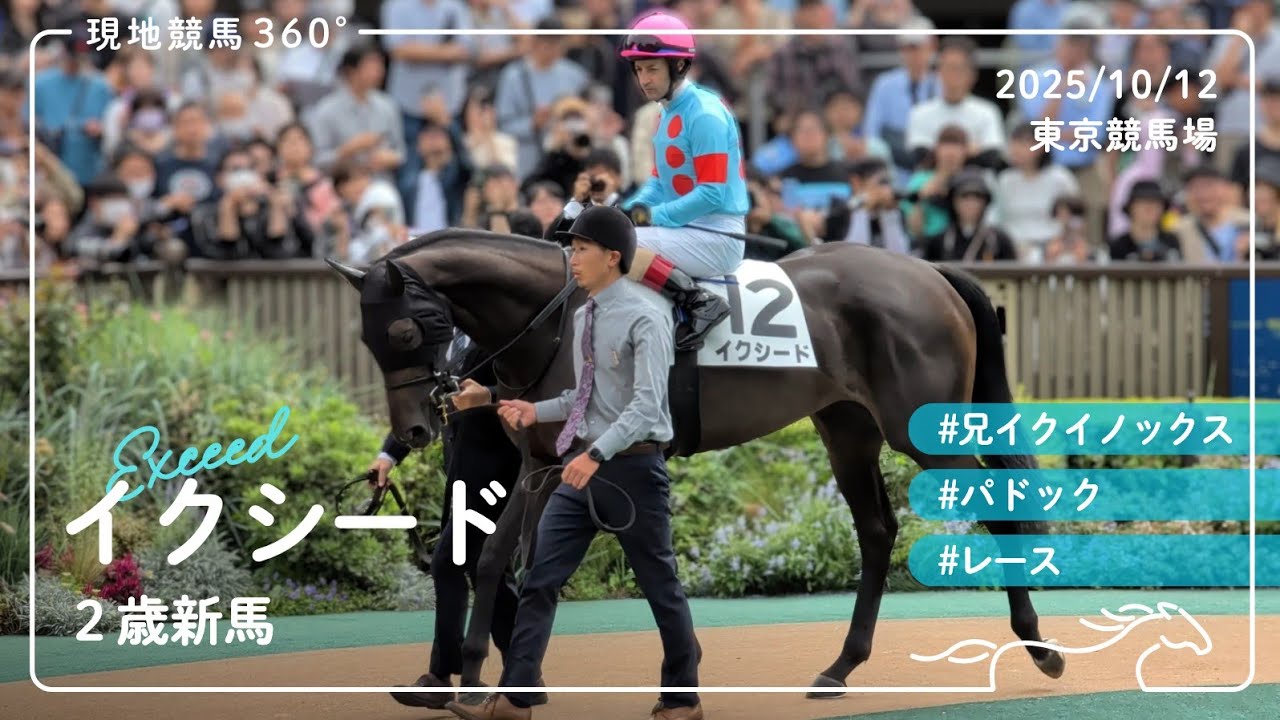 【期限切れ単勝馬券】　若駒ステークス　ディープインパクト　2005/1/22 2005年 若駒ステークス | ディープインパクト | JRA公式 - YouTube