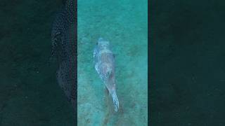 Im Pooping, Dont Follow Me