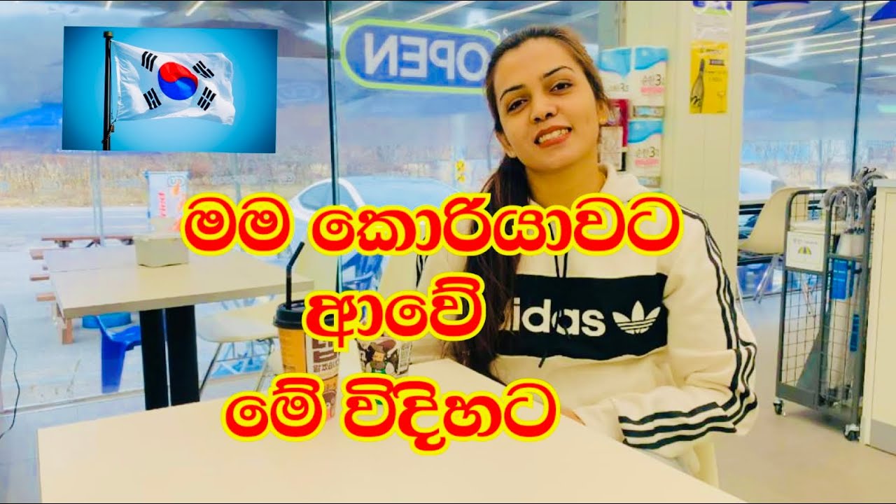 මම කොරියාවට ආපු විදිහ | In Sinhala | Sendy Rupasinha | 2023 | Korea
