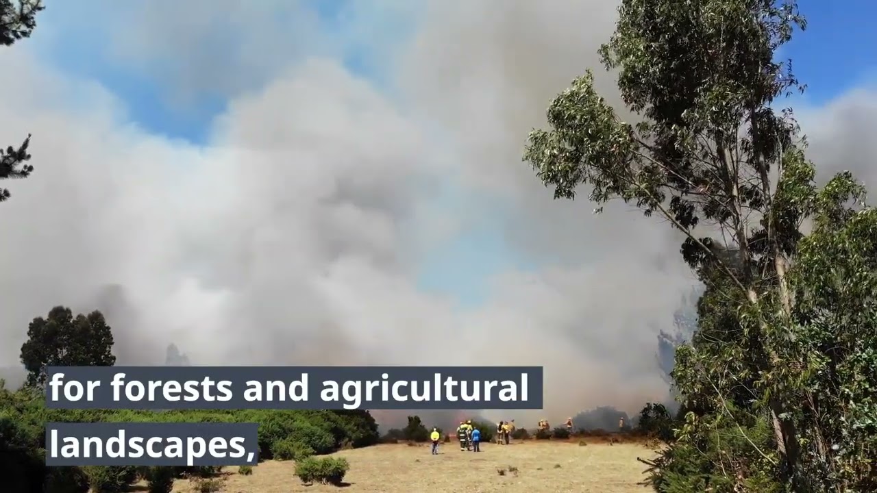 New EASAC study: Strategies to manage wildfires