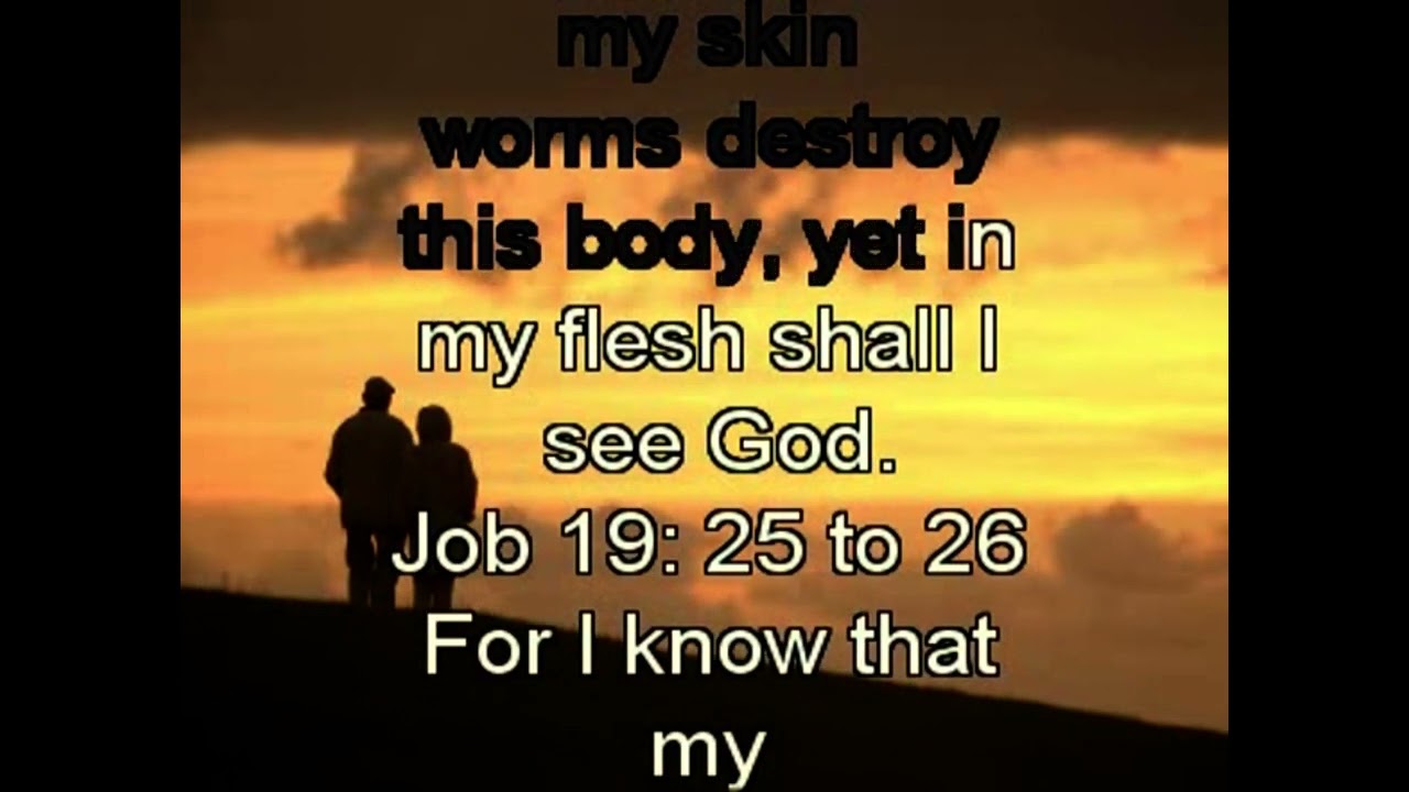 LDS Scripture Rock Old Testament  - Job 