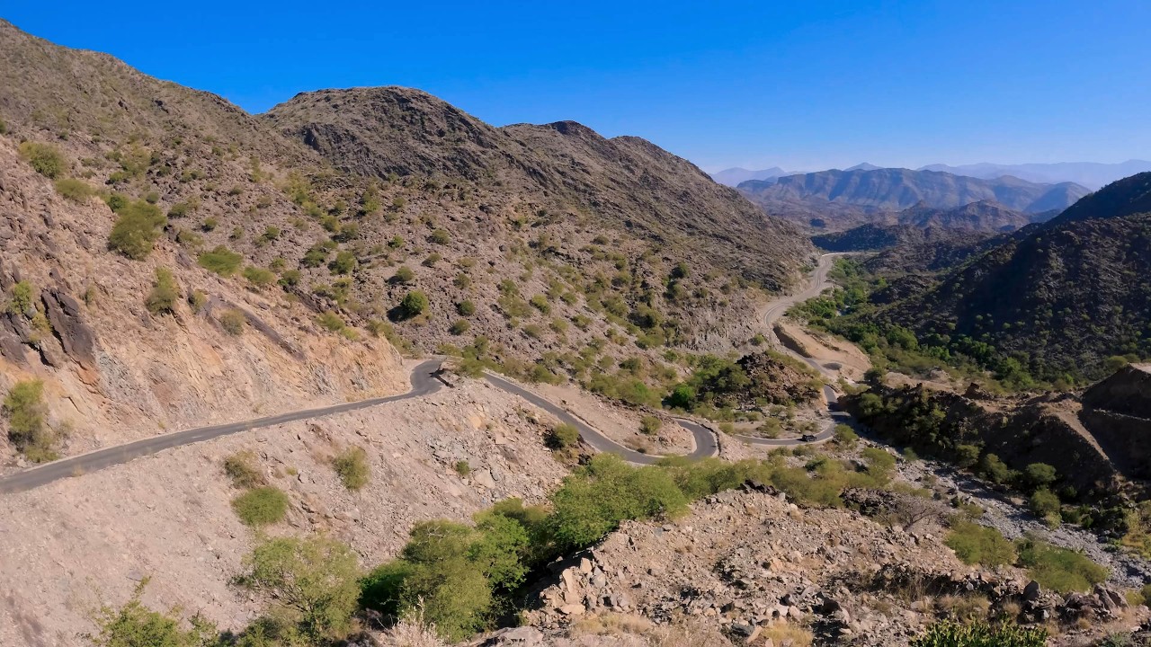 بدأ البث المباشر من قناة 