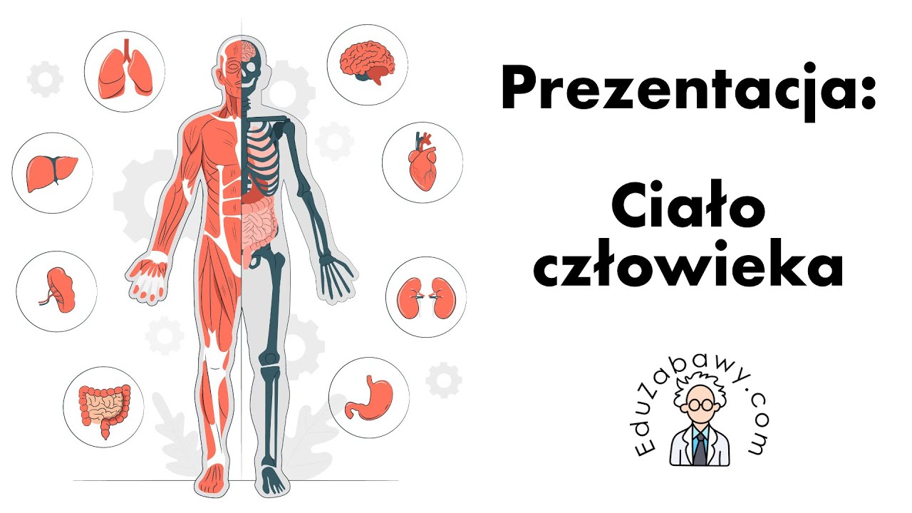 Prezentacja: Ciało człowieka + ciekawostki dla dzieci, przedszkolaków