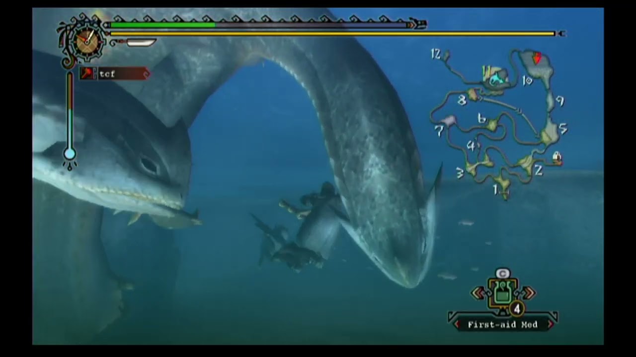 monster hunter tri aldea 8, jugando con el wii remote