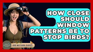 How Close Should Window Patterns Be To Stop Birds? - Bird Watching Diaries