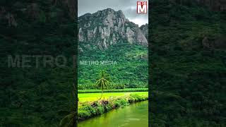 Thovalai 🌸🌿 | The Land of Flowers and Fragrance | Metro Media