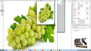 Intra-class Recognition of Fruits using Color and Texture Features | Final Year Projects 2016 - 2017