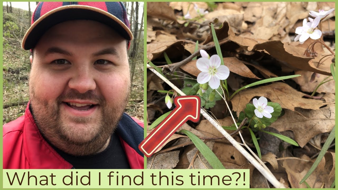 Foraging Ep. 2 Tangle Gut YouTube