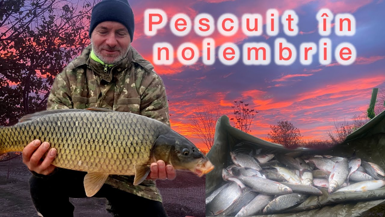 CRAP / CARAȘI și  MORUNASI de TOAMNĂ 🍂!!🙏🌊LOCATIE CU MULT PESTE 🏆😃🏆