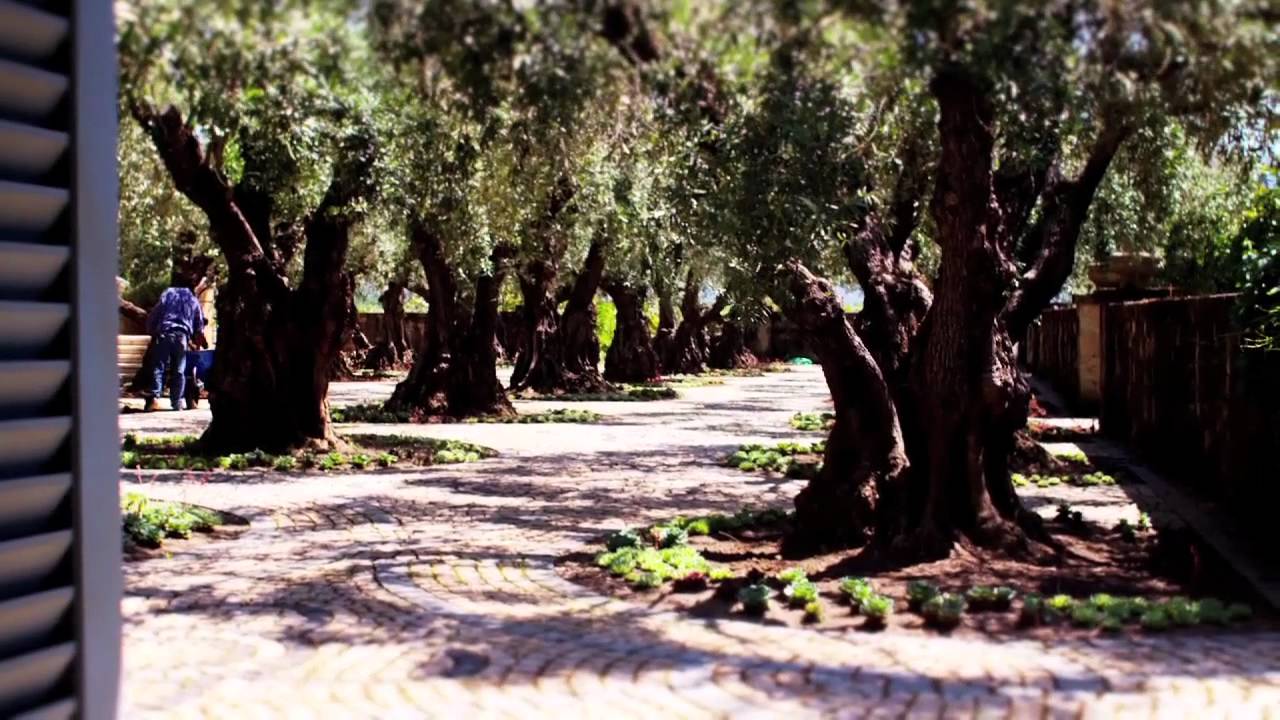 Round Pond Estate - Who We Are