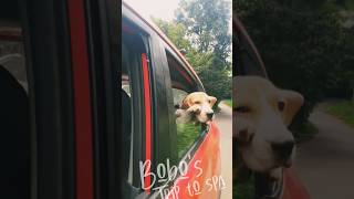 Bobos Trip To Spa Nebulakal The Cloud Nine Estate