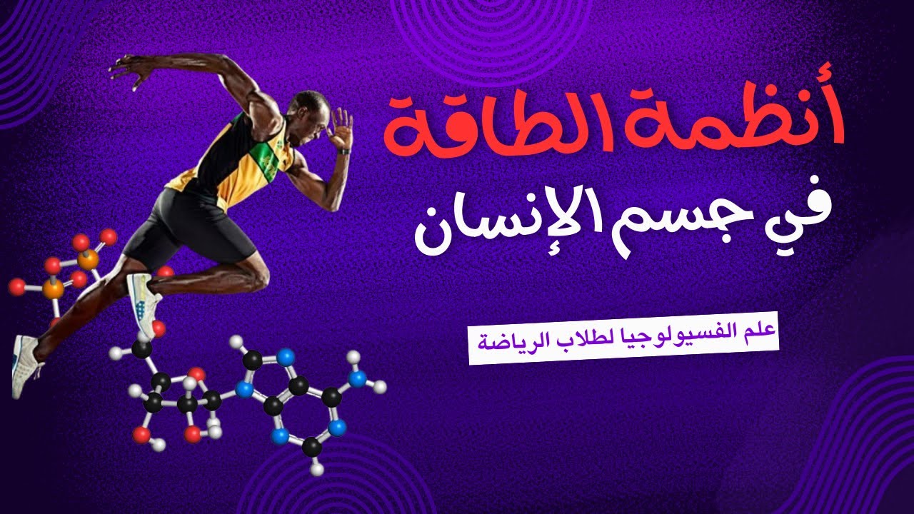 أنظمة الطاقة في جسم الإنسان - علم الفسيولوجيا للرياضيين