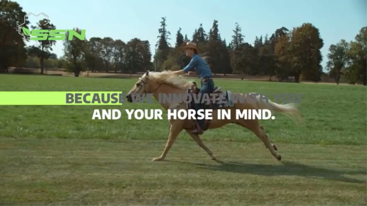 Best horse feed for laminitis