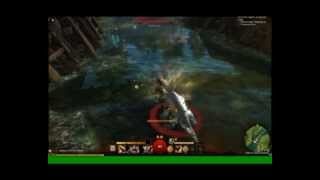 GUILD WARS 2 - Warrior & Weapons - Weekend Beta 01