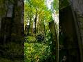 We Found a Forgotten Church- Abandoned Religion #shorts