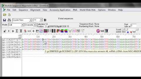 Sequence editing in Bioedit