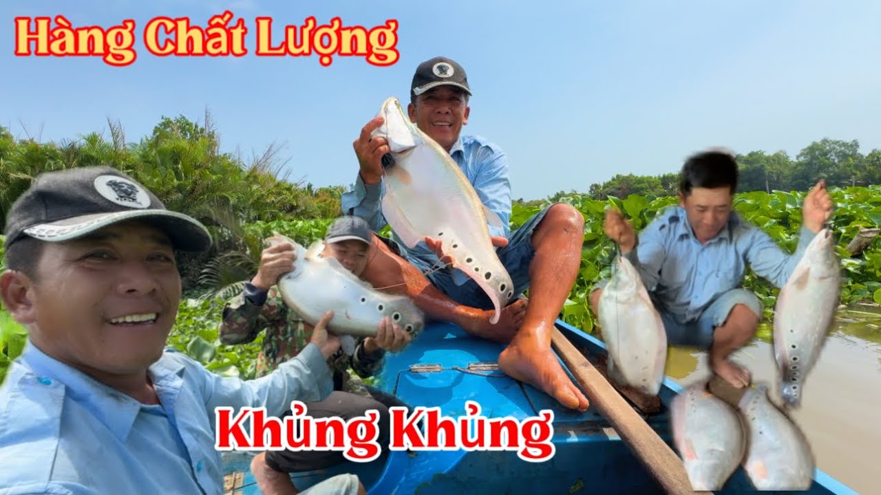 Thả Câu Thác Lác Cườm Dính Con Nào Đã Con Nấy Hàng Chất Lượng Không /Định Nguyễn Hậu Giang