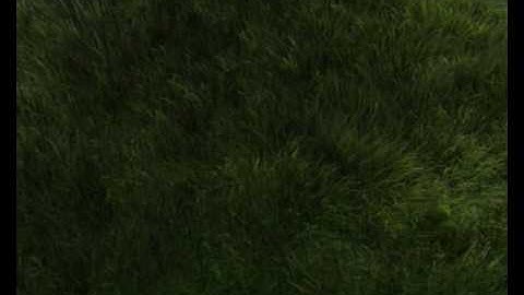 Realistic blender grass test 2