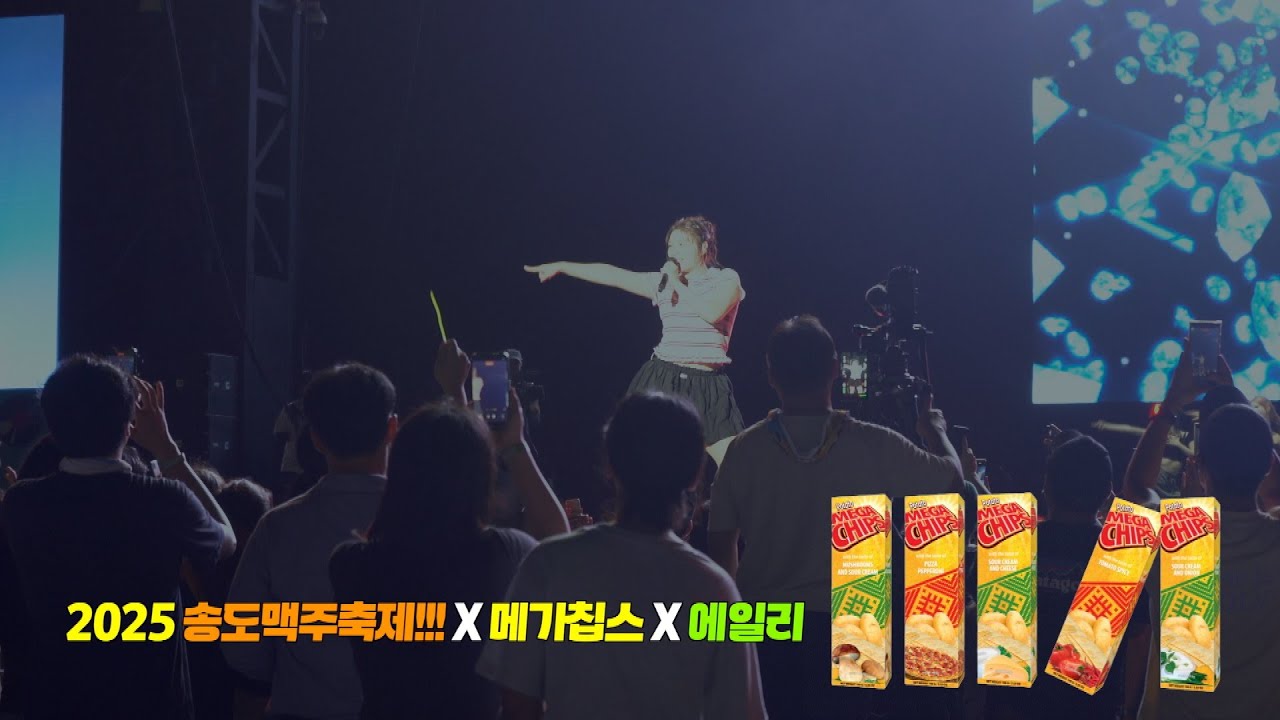 2025 송도맥주축제. 가수 에일리가 왔다고?