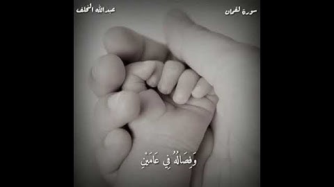 سورة لقمان عبدالله الخلف