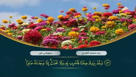 سورة ص كاملة Surat Sad   الشيخ رعد الكردي Raad Alkurdi360p