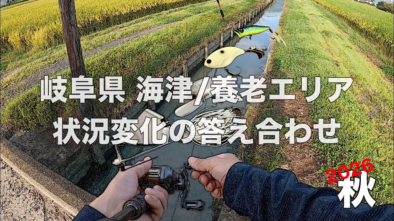 岐阜県 海津/養老エリア￼ 状況変化の答え合わせ￼