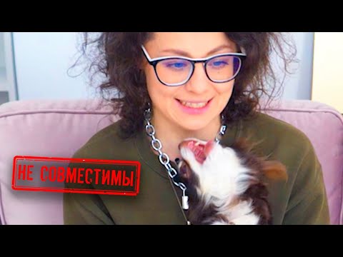 Video: 320 Nerdy imena za pse in mačke