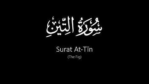 Surat At-Tīn (The Fig) | Yasser Al Dosari | ياسر الدوسري | سورة التين