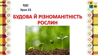 картинка: ЯДС 2 клас Урок 22 БУДОВА Й РІЗНОМАНІТНІСТЬ РОСЛИН. Жаркова