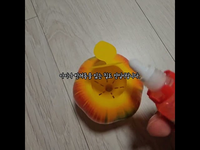 여름철 지긋지긋한 주방 날파리? '이것' 2개로 완벽하게 초파리없애는법 ????