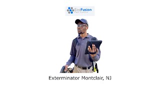 Exterminator Montclair, NJ - EcoFusion Pest Control