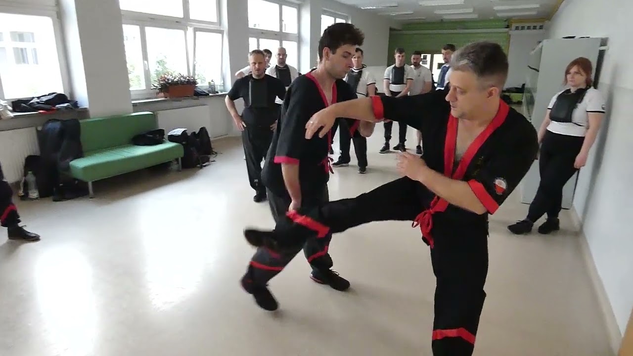 Wing Tsun Kung-Fu Polska - Aplikacje, cz 1. (seminarium Warszawa 22-23.03.2025)