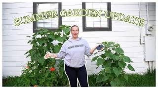 I Can't Believe How Much Our Garden Changed in Just One Month