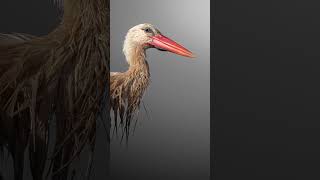 Do my photos deserve a follow?