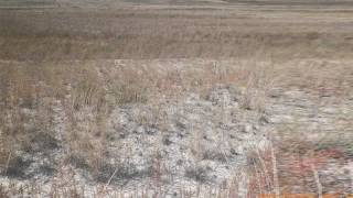 Featured North Platte, Ne Land Listing - 221.52 Acre Lot Lis